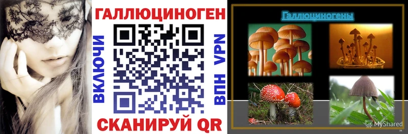 Галлюциногенные грибы мицелий  Купить где  Сусуман 
